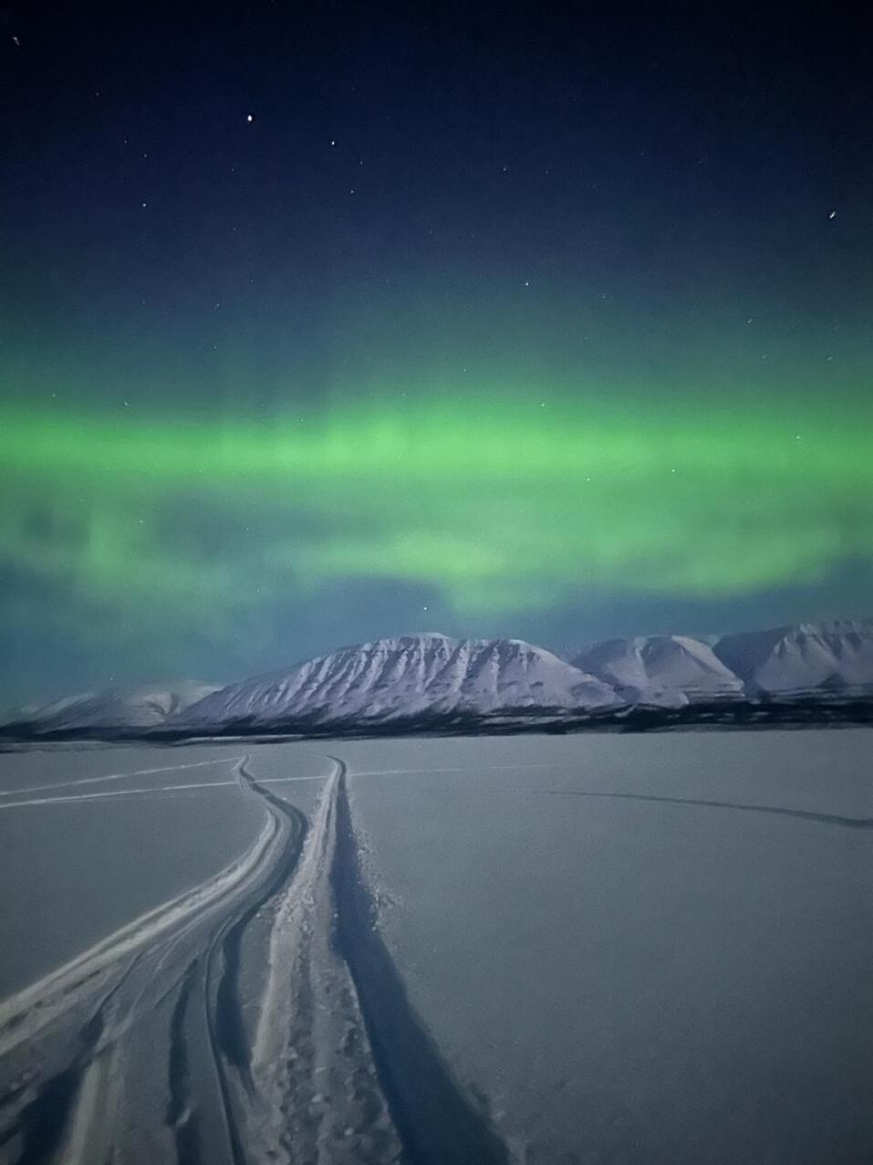 Иллюстрация: предоставлено Анжелой Элмурадовой Иллюстрация: предоставлено Анжелой Элмурадовой