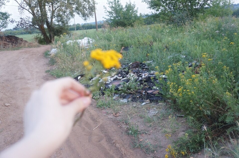 Быть или не быть: появится ли Восточный обход Нижнего Новгорода в Артемовских лугах 6 Быть или не быть: появится ли Восточный обход Нижнего Новгорода в Артемовских лугах 6