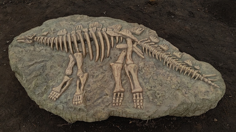 Стегозавр и потухший вулкан. Шарыпово становится «диногородом»?
1 Стегозавр и потухший вулкан. Шарыпово становится «диногородом»?
1