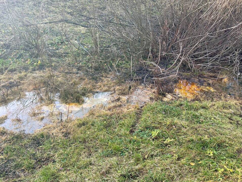 Фото: Росприроднадзор Фото: Росприроднадзор