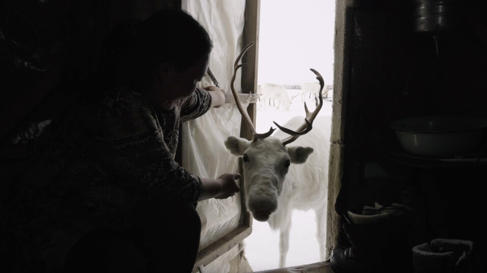 Иллюстрация: rgo.ru Иллюстрация: rgo.ru