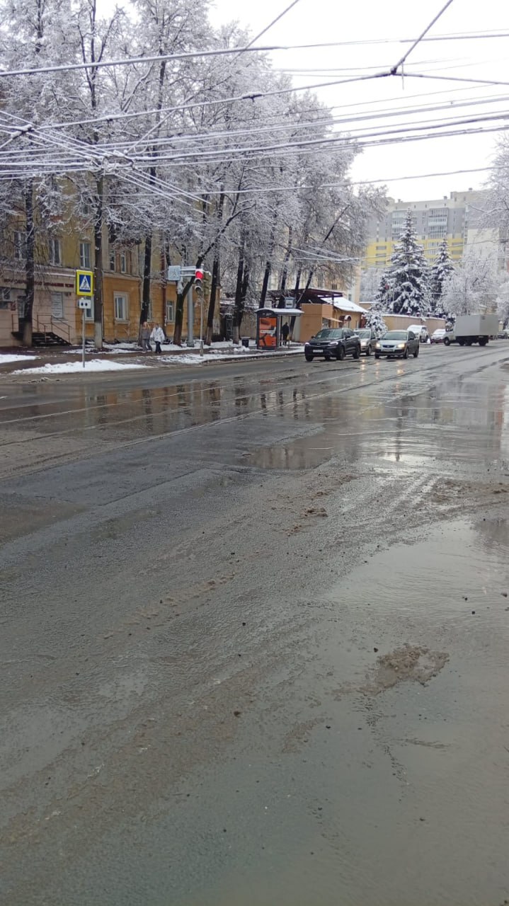 Фото: ООО «Экологические проекты» Фото: ООО «Экологические проекты»