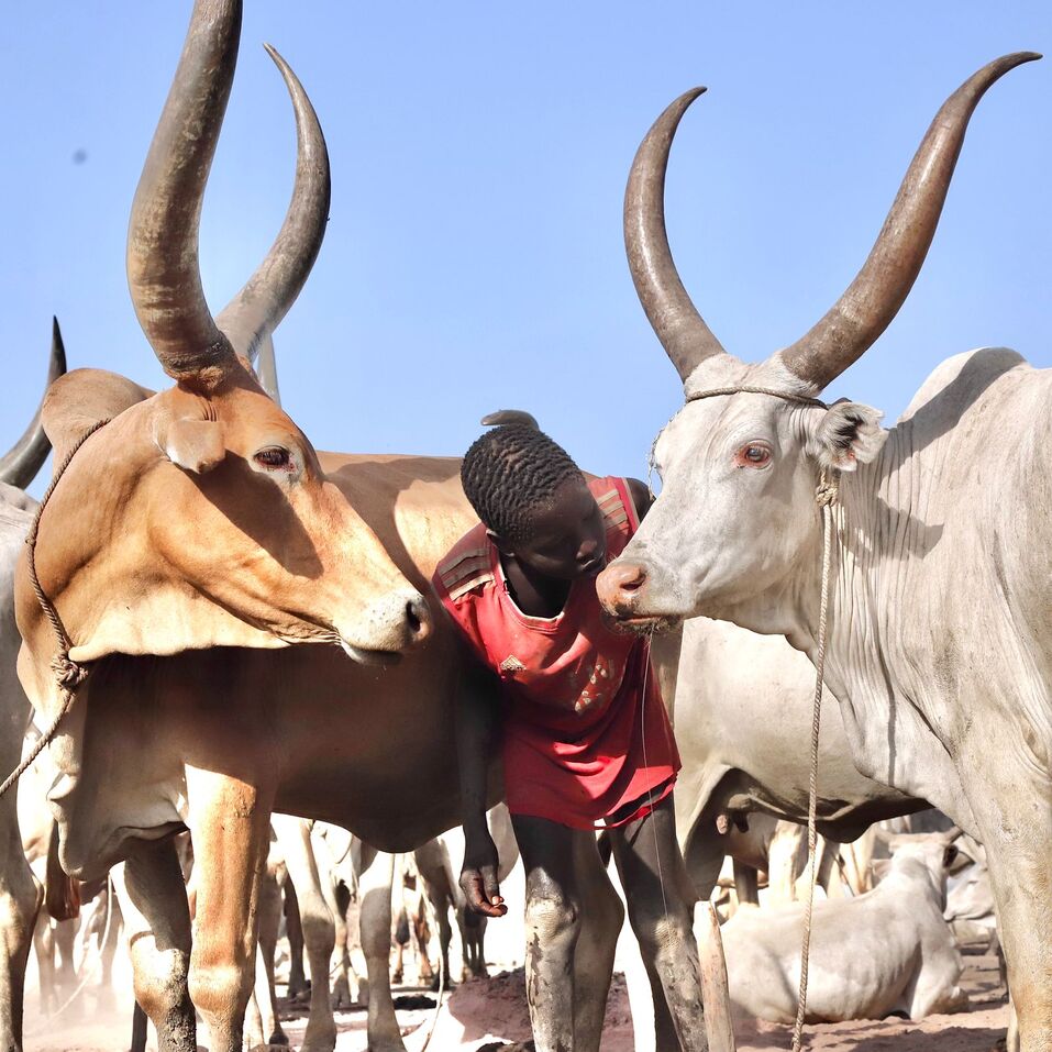 Ирина Абрамова о том, чем Африка может быть интересна российским бизнесменам 10 Ирина Абрамова о том, чем Африка может быть интересна российским бизнесменам 10
