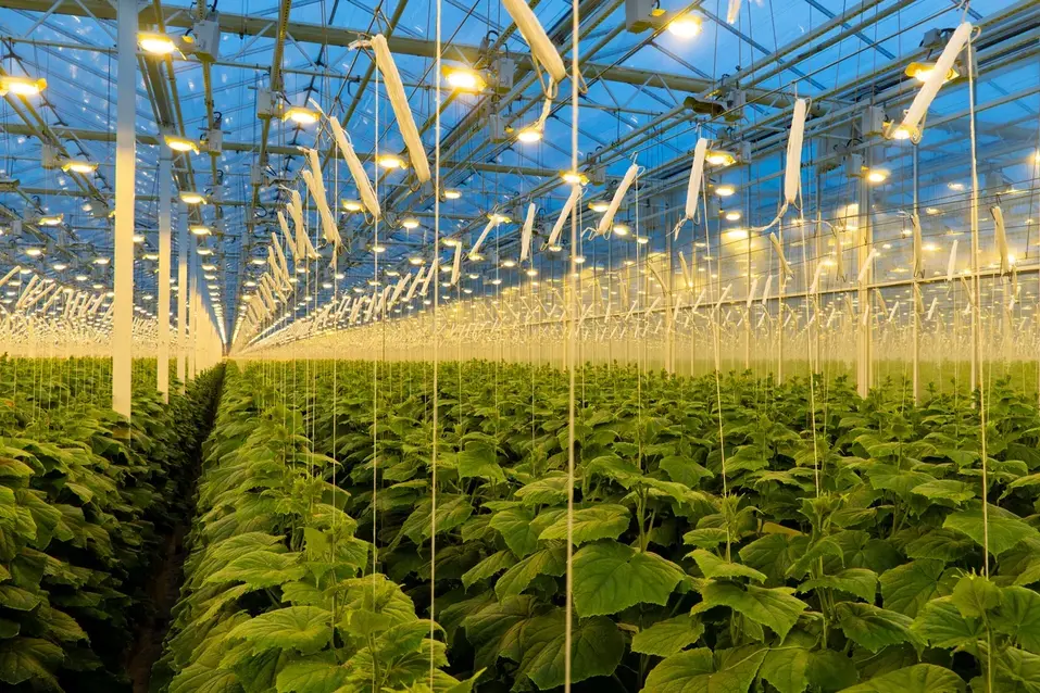 Проект «Производительность труда»: от бережливого производства к бережливому мышлению
3 Проект «Производительность труда»: от бережливого производства к бережливому мышлению
3