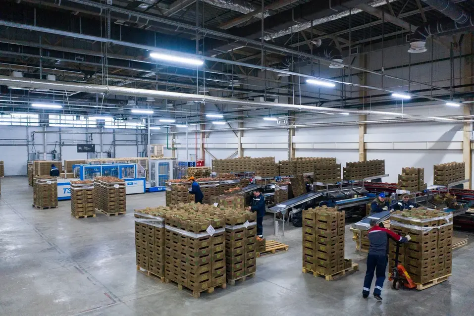 Проект «Производительность труда»: от бережливого производства к бережливому мышлению
5 Проект «Производительность труда»: от бережливого производства к бережливому мышлению
5