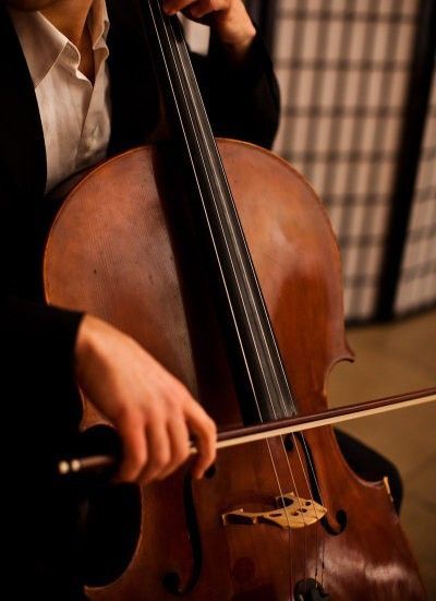 Иллюстрация: pinterest.com / hauser_568 Иллюстрация: pinterest.com / hauser_568