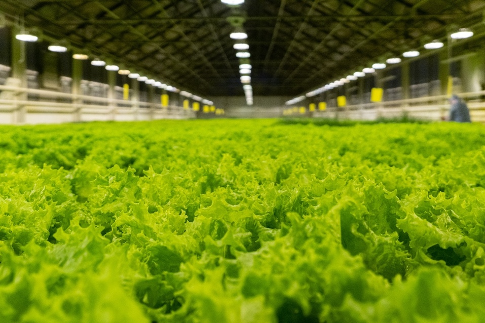 Фото: Леонид Прядко Фото: Леонид Прядко