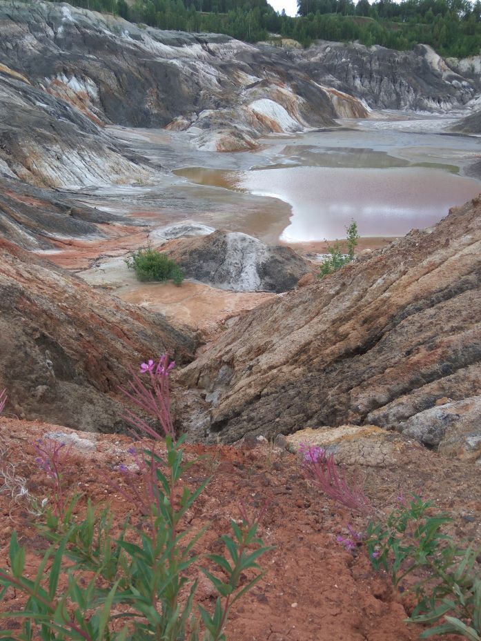 ИИ в строительном бизнесе: как девелоперы меняют процессы? 1 ИИ в строительном бизнесе: как девелоперы меняют процессы? 1