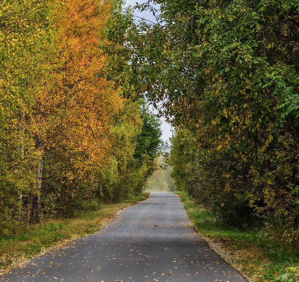 Сочи рядом: хай-тек на природе, жизнь — по расписанию мегаполиса 3 Сочи рядом: хай-тек на природе, жизнь — по расписанию мегаполиса 3