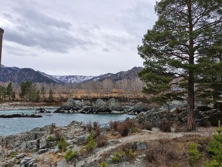 Горы, дикая природа, местная кухня, СПА и экскурсии. Как отдохнуть на Алтае на пять звезд 17 Горы, дикая природа, местная кухня, СПА и экскурсии. Как отдохнуть на Алтае на пять звезд 17