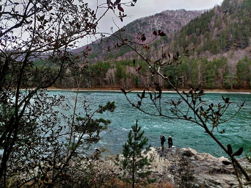 Горы, дикая природа, местная кухня, СПА и экскурсии. Как отдохнуть на Алтае на пять звезд 1 Горы, дикая природа, местная кухня, СПА и экскурсии. Как отдохнуть на Алтае на пять звезд 1