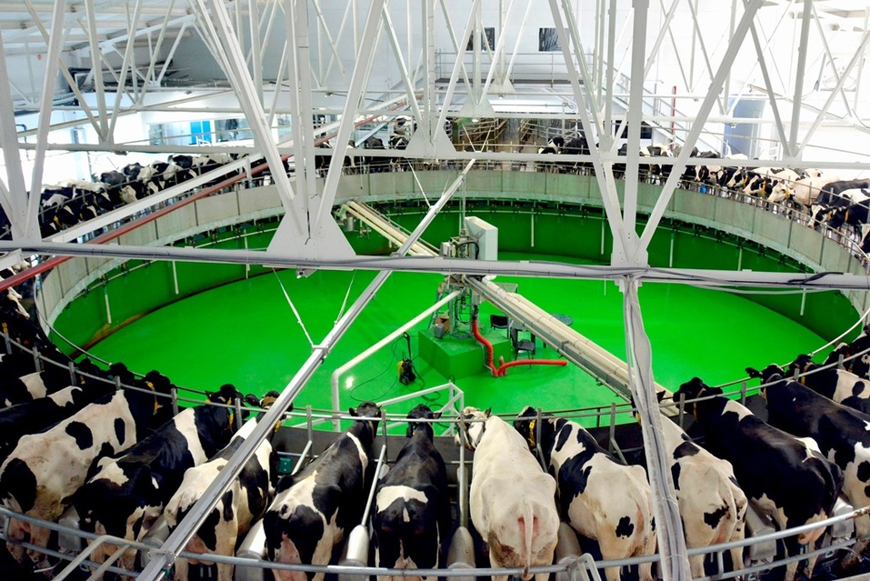 Алексей Кобылин: новые технологии внедряют почти во всех сферах агроотрасли 1 Алексей Кобылин: новые технологии внедряют почти во всех сферах агроотрасли 1