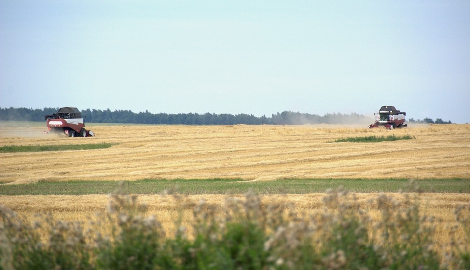 Алексей Кобылин: новые технологии внедряют почти во всех сферах агроотрасли 6 Алексей Кобылин: новые технологии внедряют почти во всех сферах агроотрасли 6