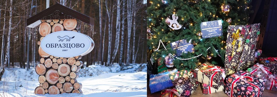 Образцовое чудо: успех человека определяется желанием творить добро 11 Образцовое чудо: успех человека определяется желанием творить добро 11