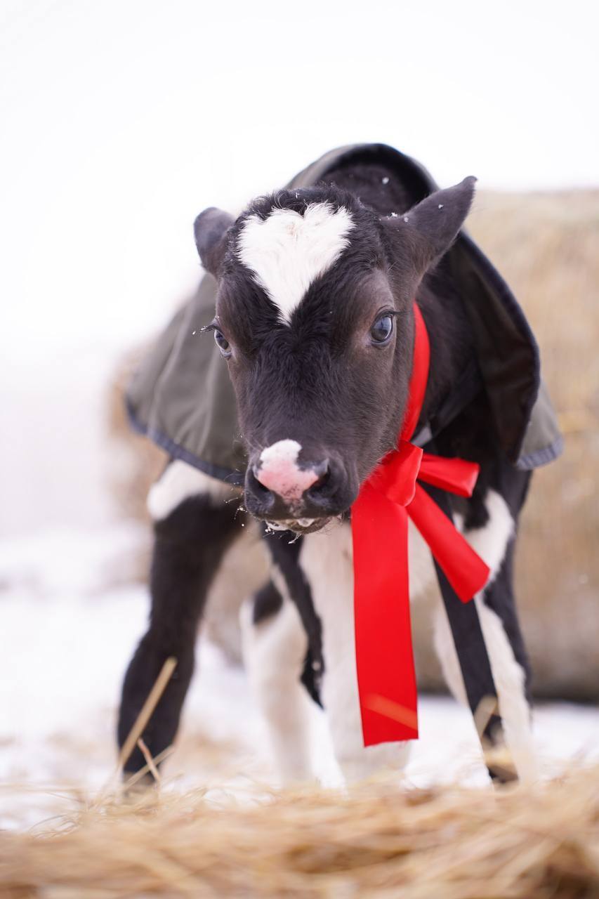 Фото: t.me/glebnikitin_nn Фото: t.me/glebnikitin_nn