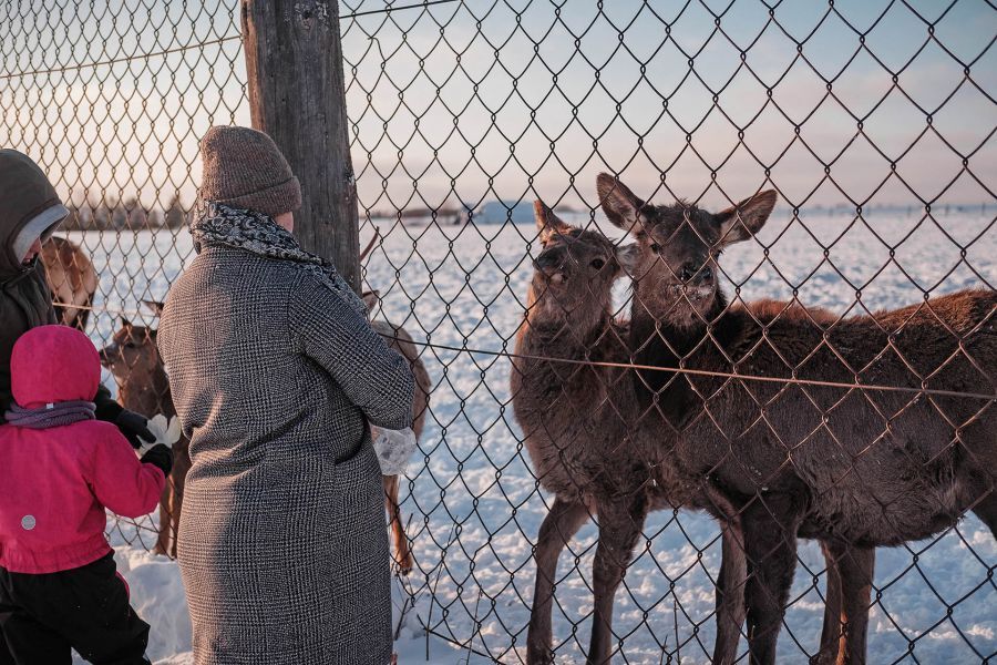 Не менее 300 тыс. туристов побывают этой зимой на Среднем Урале: чем будем удивлять 2 Не менее 300 тыс. туристов побывают этой зимой на Среднем Урале: чем будем удивлять 2