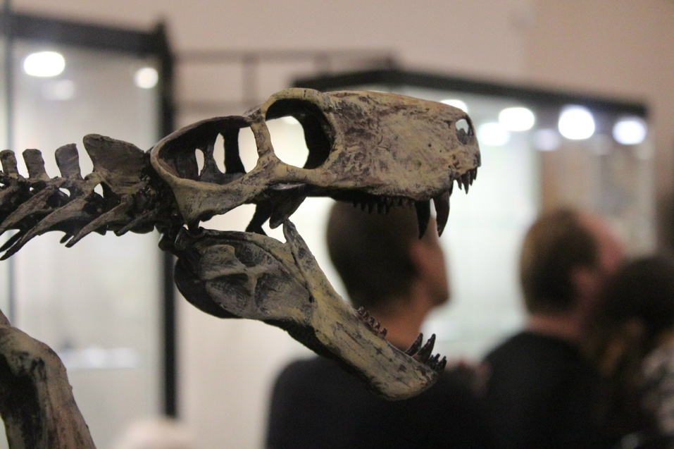 Иллюстрация: vk.com/mgeos Иллюстрация: vk.com/mgeos