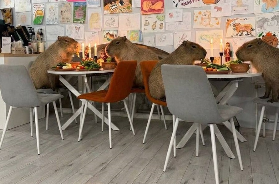 В Екатеринбурге открылось шесть новых ресторанов: рассказываем, какие и где 7 В Екатеринбурге открылось шесть новых ресторанов: рассказываем, какие и где 7