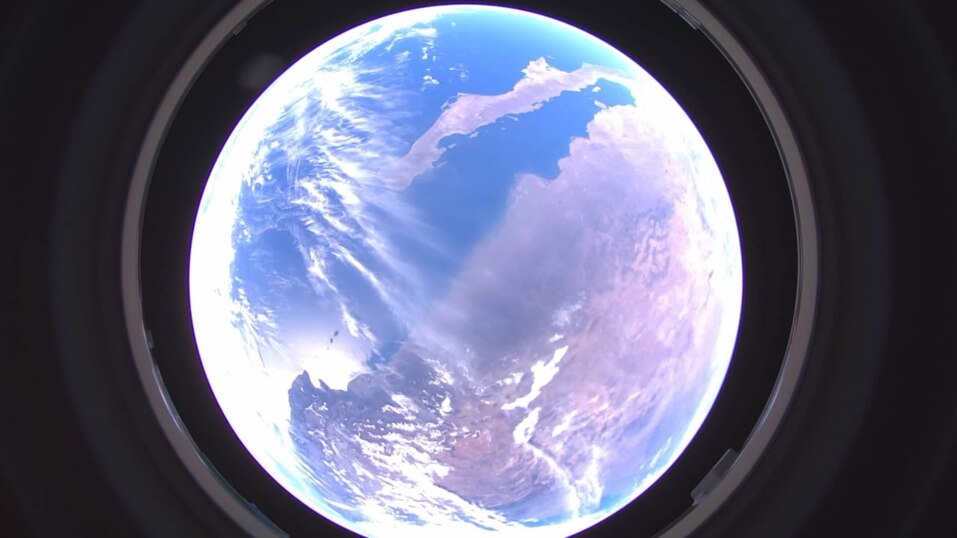 Фото: t.me/olegtrofimov_unn Фото: t.me/olegtrofimov_unn