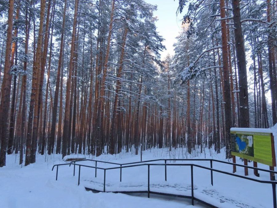 23 млрд потратили 2 млн туристов в столице Урала в 2025 г. Планы развития туротрасли 12 23 млрд потратили 2 млн туристов в столице Урала в 2025 г. Планы развития туротрасли 12