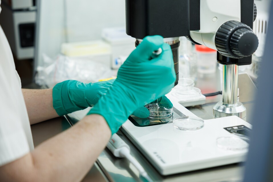 Мягкой подсадки! В УГМК-Здоровье более 50% пар становятся родителями с первой попытки ЭКО 3 Мягкой подсадки! В УГМК-Здоровье более 50% пар становятся родителями с первой попытки ЭКО 3