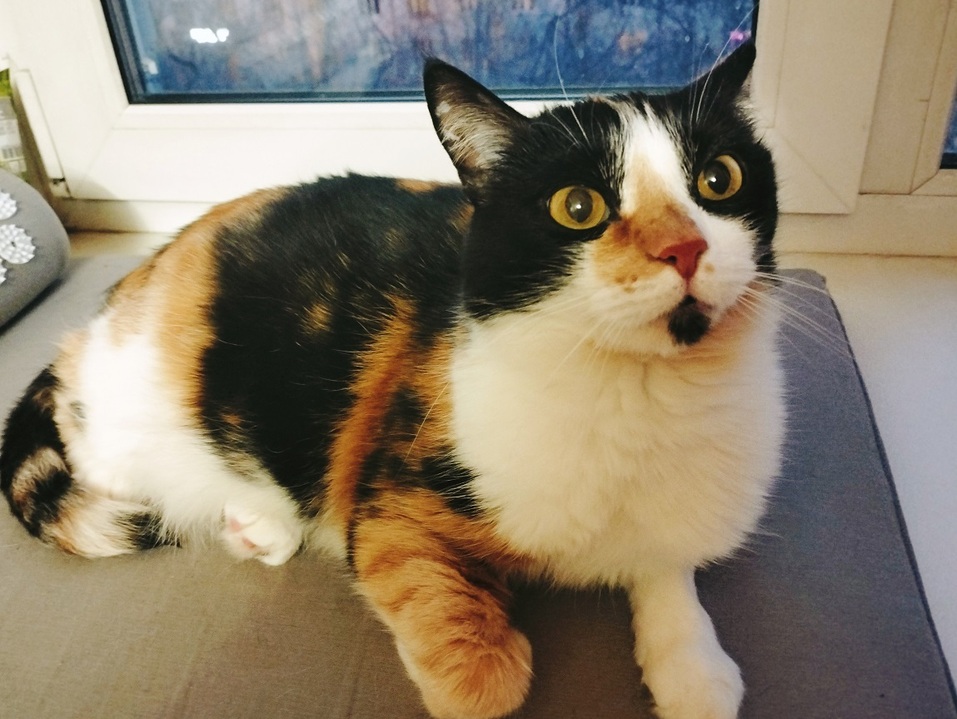 Готовимся к Масленице, участвуем в Форуме Кибербезопасности, творим: афиша Екатеринбурга 3 Готовимся к Масленице, участвуем в Форуме Кибербезопасности, творим: афиша Екатеринбурга 3