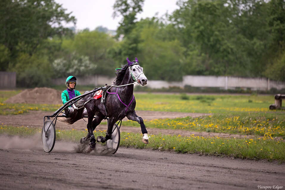 ФОТО Эдгар Юсупов ФОТО Эдгар Юсупов
