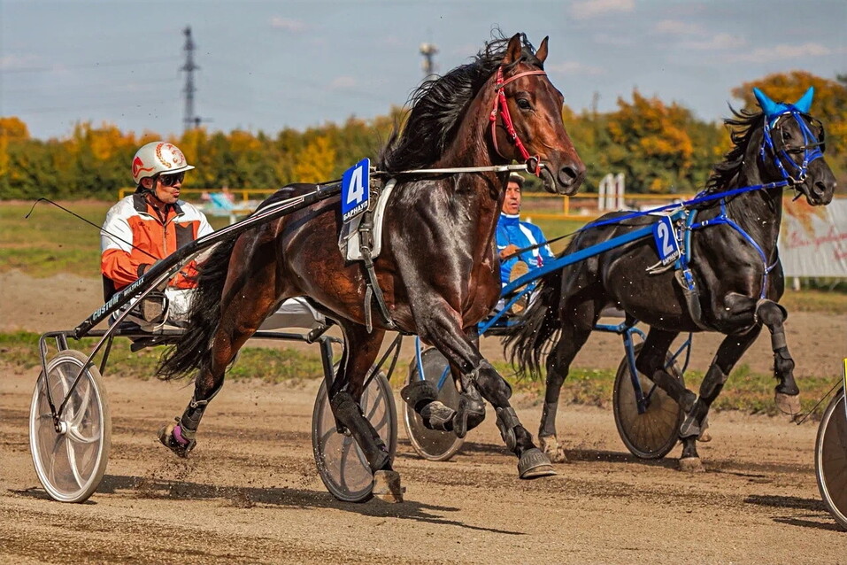 ФОТО Эдгар Юсупов ФОТО Эдгар Юсупов