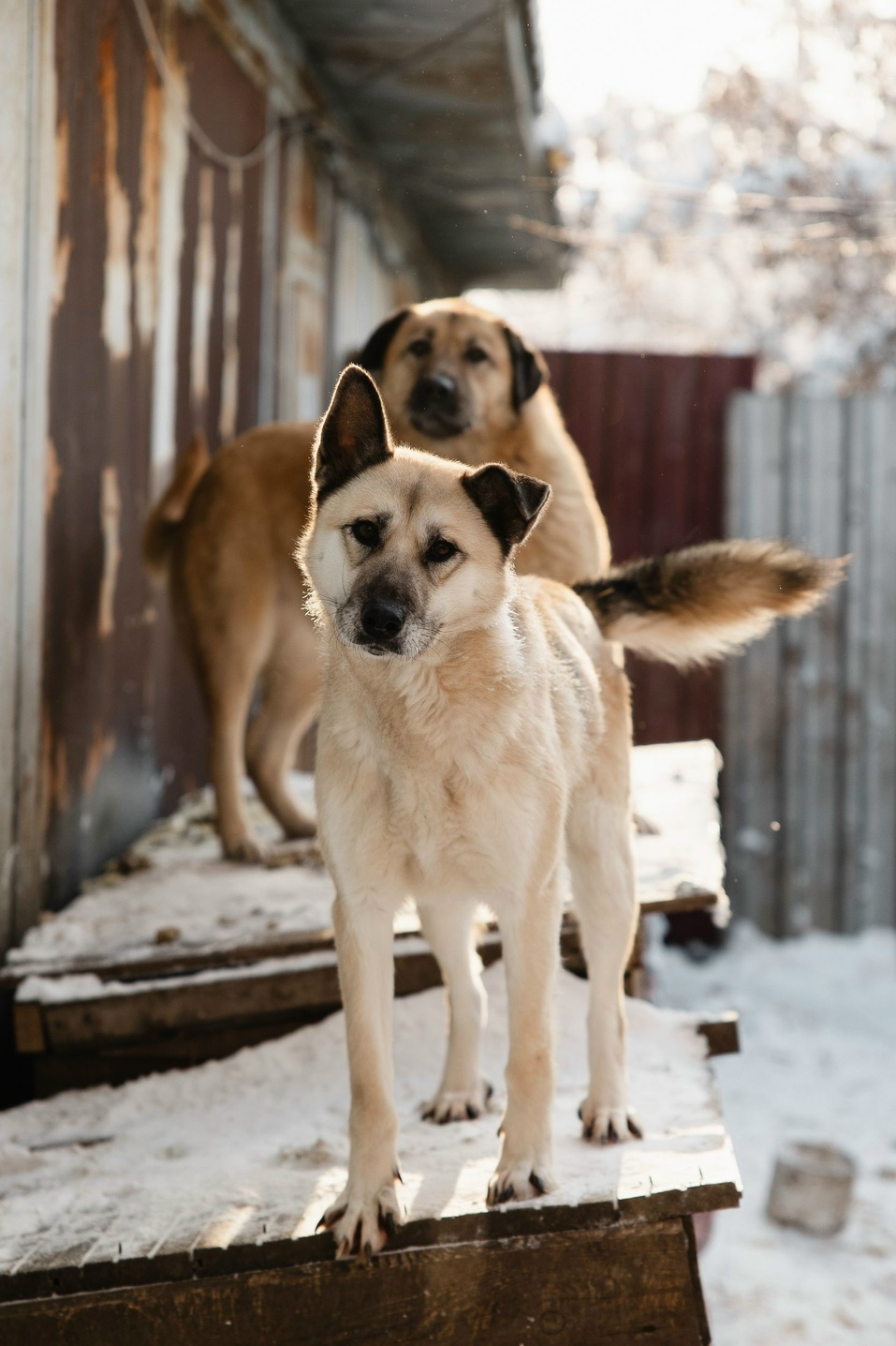 Иллюстрация: vk.ru/smertniki_bereg_krsk Иллюстрация: vk.ru/smertniki_bereg_krsk