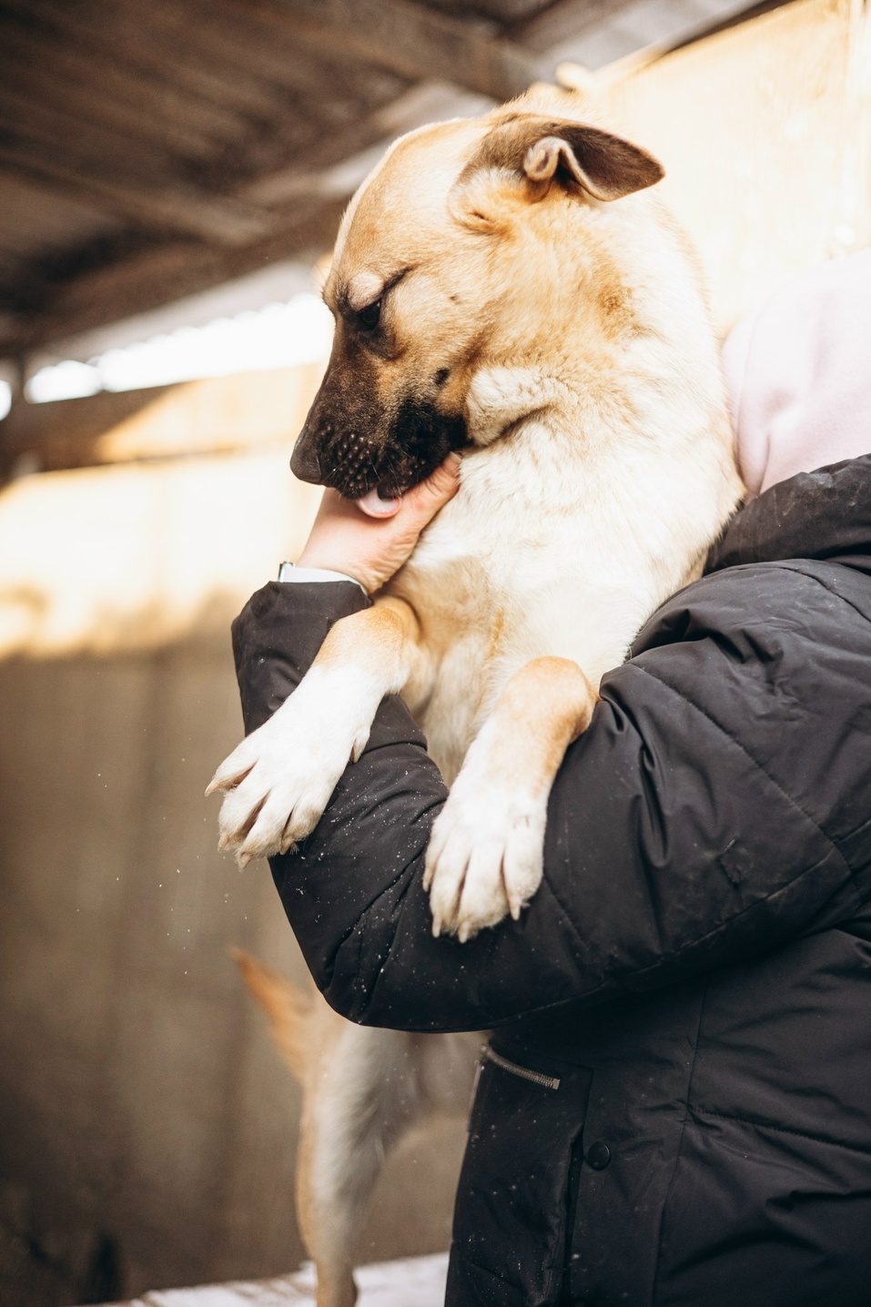 Иллюстрация: vk.com/vadrozdov Иллюстрация: vk.com/vadrozdov