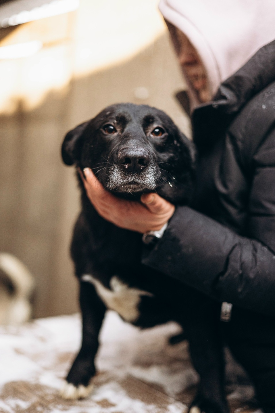 Иллюстрация: vk.ru/smertniki_bereg_krsk Иллюстрация: vk.ru/smertniki_bereg_krsk