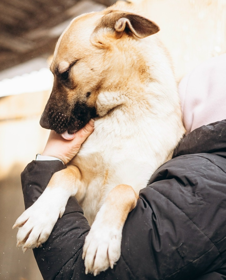 Иллюстрация: vk.ru/smertniki_bereg_krsk Иллюстрация: vk.ru/smertniki_bereg_krsk