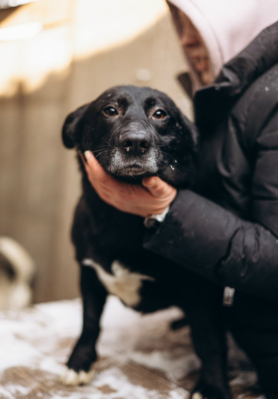 Иллюстрация: vk.ru/smertniki_bereg_krsk Иллюстрация: vk.ru/smertniki_bereg_krsk