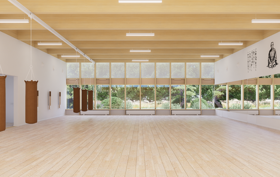 Федеральный девелопер представил проект будущей школы каратэ в Челябинске 2 Федеральный девелопер представил проект будущей школы каратэ в Челябинске 2