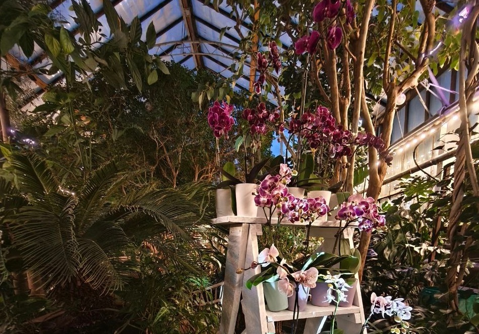 Гуляем на фестивале орхидей, идем на бизнес-практикум DK.RU и форумы: афиша Екатеринбурга 1 Гуляем на фестивале орхидей, идем на бизнес-практикум DK.RU и форумы: афиша Екатеринбурга 1