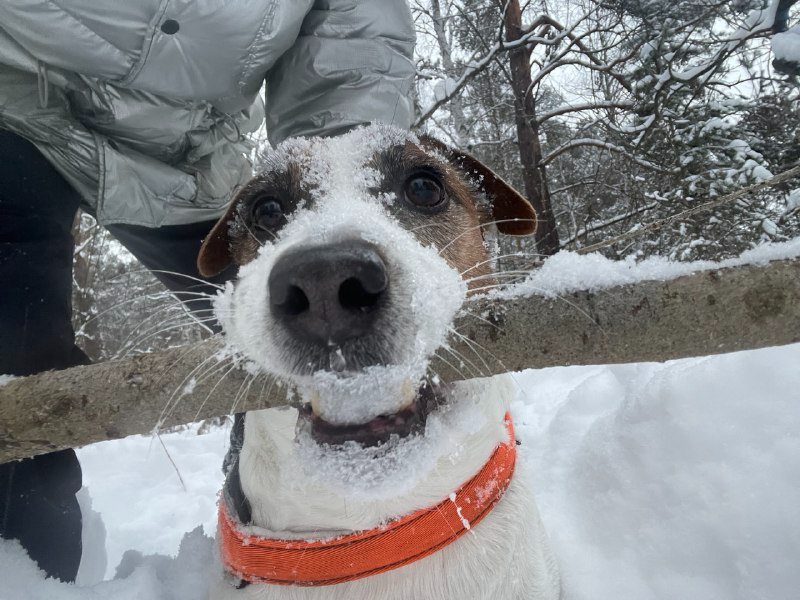 Гуляем на фестивале орхидей, идем на бизнес-практикум DK.RU и форумы: афиша Екатеринбурга 5 Гуляем на фестивале орхидей, идем на бизнес-практикум DK.RU и форумы: афиша Екатеринбурга 5