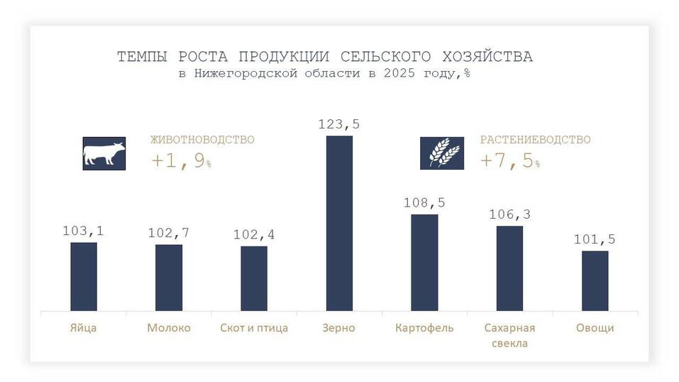Фото: Егор Поляков Фото: Егор Поляков