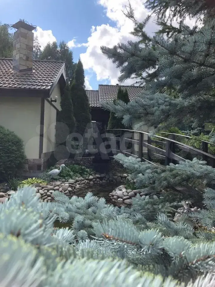 Иллюстрация: avito.ru Иллюстрация: avito.ru