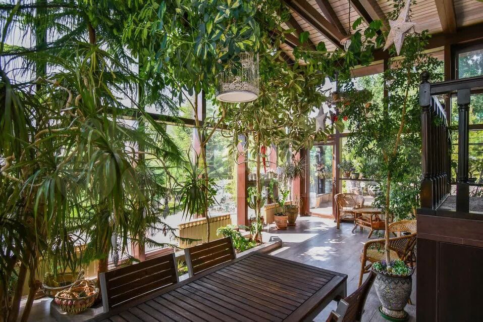 Иллюстрация: avito.ru Иллюстрация: avito.ru