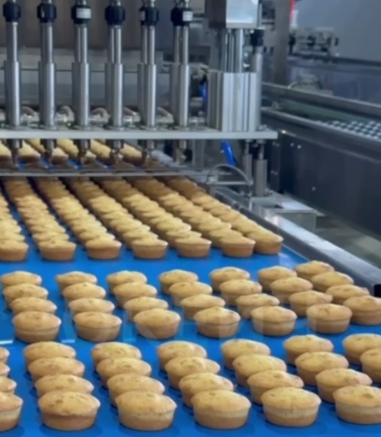 Тюменский производитель снеков начнет выпуск бисквитов во втором квартале 1 Тюменский производитель снеков начнет выпуск бисквитов во втором квартале 1