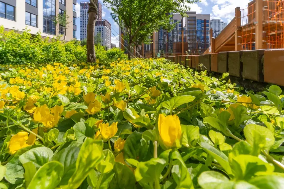 Жизнь как в кино: где уютнее — в квартире из сериала или в доме от «УГМК-Застройщик» 9 Жизнь как в кино: где уютнее — в квартире из сериала или в доме от «УГМК-Застройщик» 9