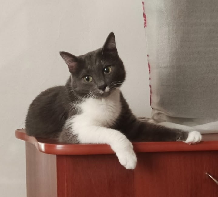 Фестиваль «Коляда-Plays» в Екатеринбурге поддержат, «Колизей» спасут 4 Фестиваль «Коляда-Plays» в Екатеринбурге поддержат, «Колизей» спасут 4