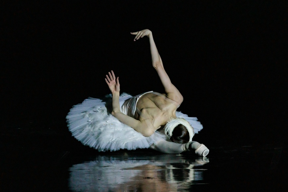 Иллюстрация: vk.com/transsibfest Иллюстрация: vk.com/transsibfest