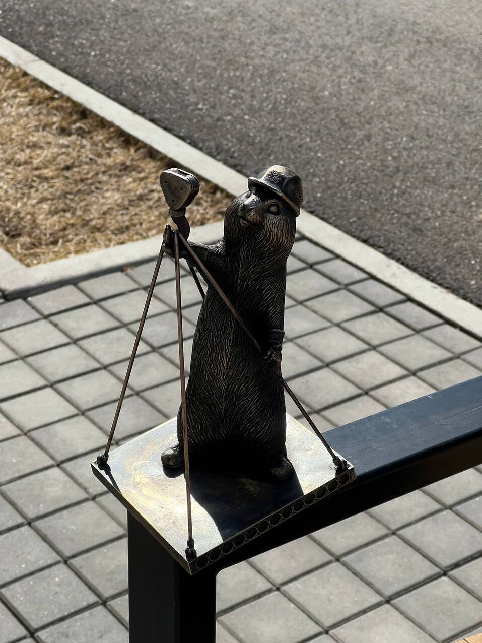 УСК «Сибиряк» установила в Красноярске юбилейного бронзового суслика. Где он появился? 1 УСК «Сибиряк» установила в Красноярске юбилейного бронзового суслика. Где он появился? 1