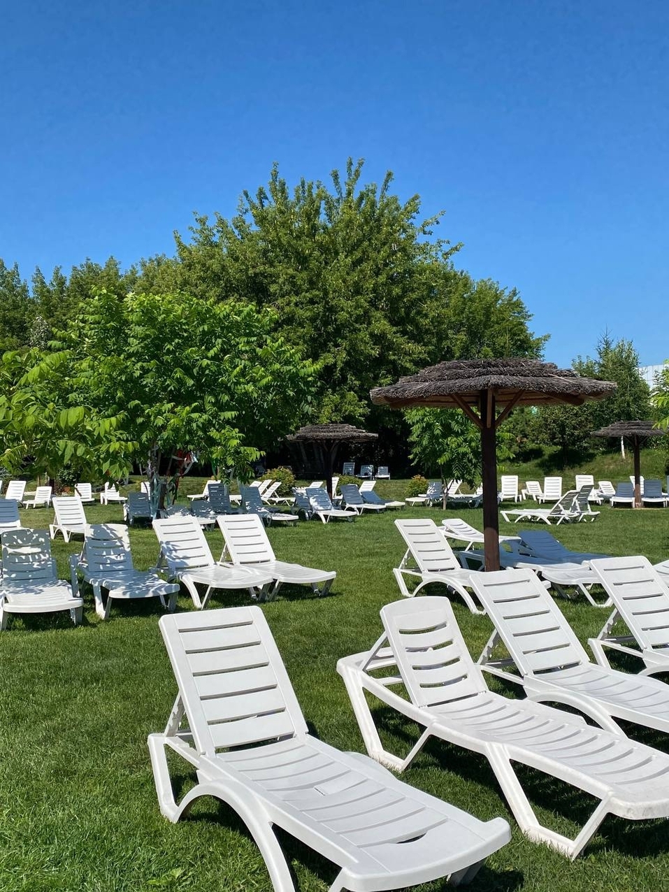 В Красноярске продается доля ландшафтного парка «Прищепка» за 450 млн рублей
1 В Красноярске продается доля ландшафтного парка «Прищепка» за 450 млн рублей
1