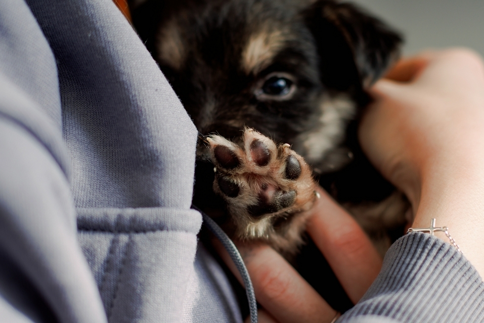 Успеть до майских: афиша культурных, спортивных и деловых мероприятий Екатеринбурга 3 Успеть до майских: афиша культурных, спортивных и деловых мероприятий Екатеринбурга 3