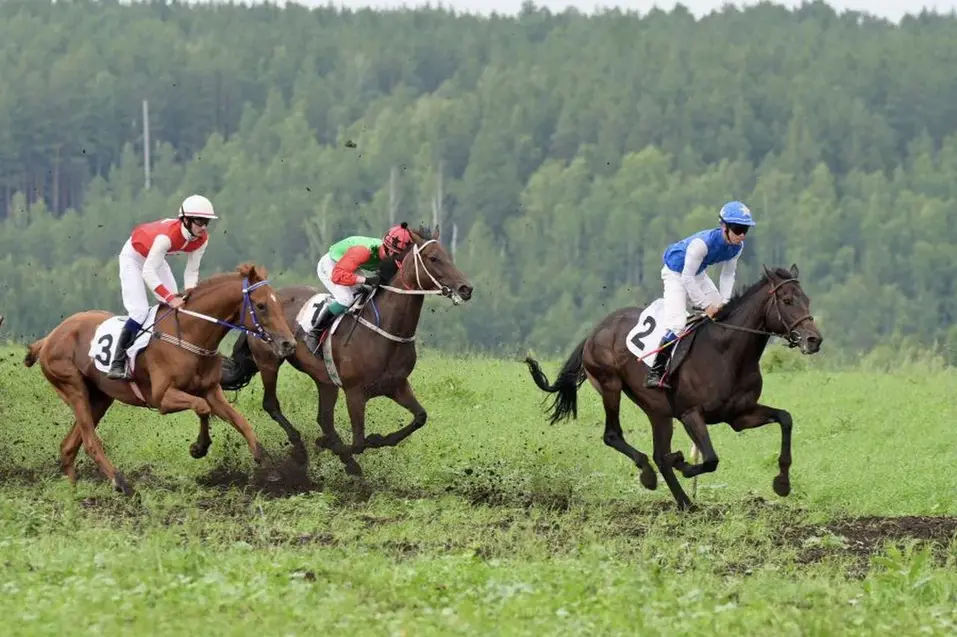 Успеть до майских: афиша культурных, спортивных и деловых мероприятий Екатеринбурга 10 Успеть до майских: афиша культурных, спортивных и деловых мероприятий Екатеринбурга 10