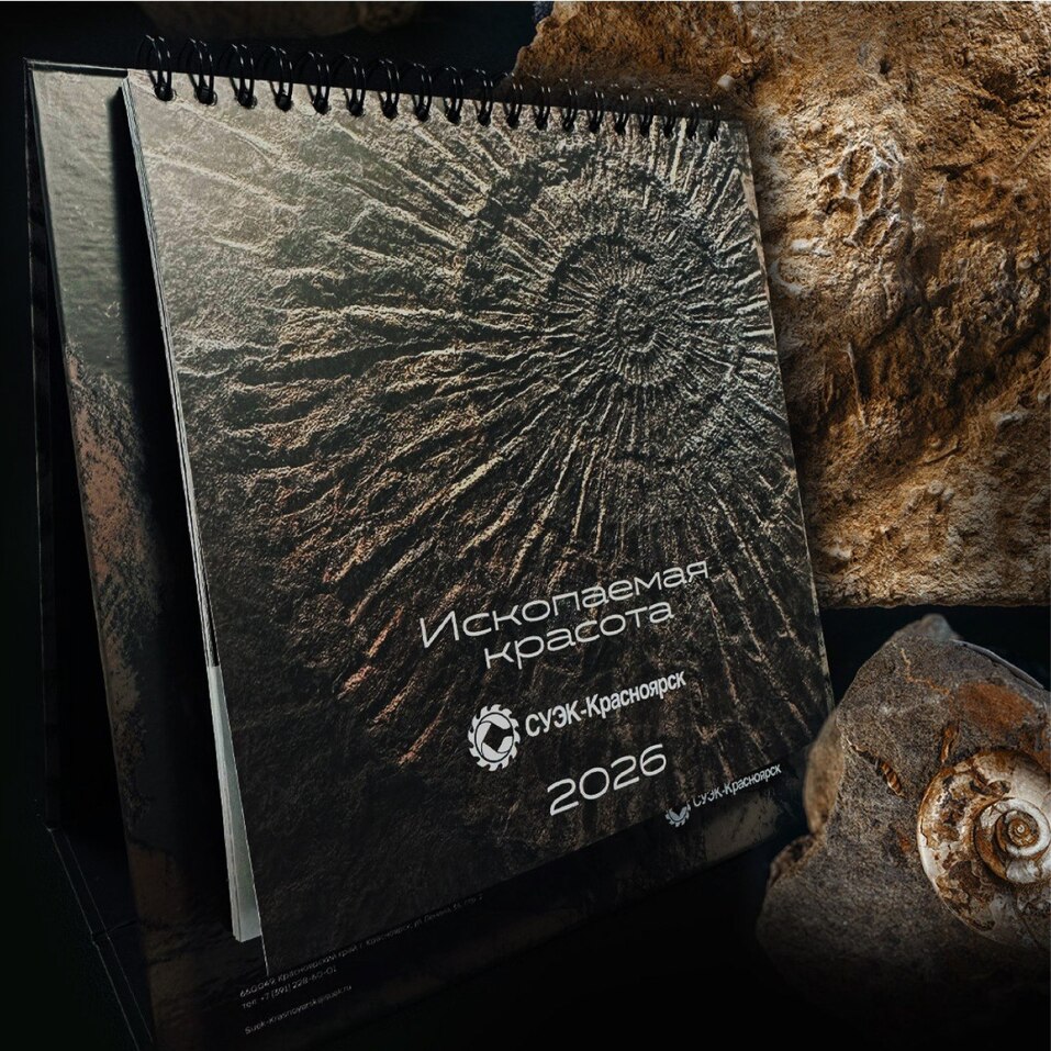 Иллюстрация: предоставлено студией «Кременец Лаб» Иллюстрация: предоставлено студией «Кременец Лаб»