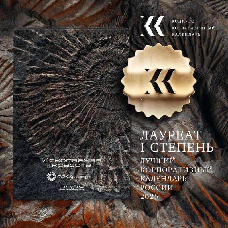 Иллюстрация: предоставлено студией «Кременец Лаб» Иллюстрация: предоставлено студией «Кременец Лаб»