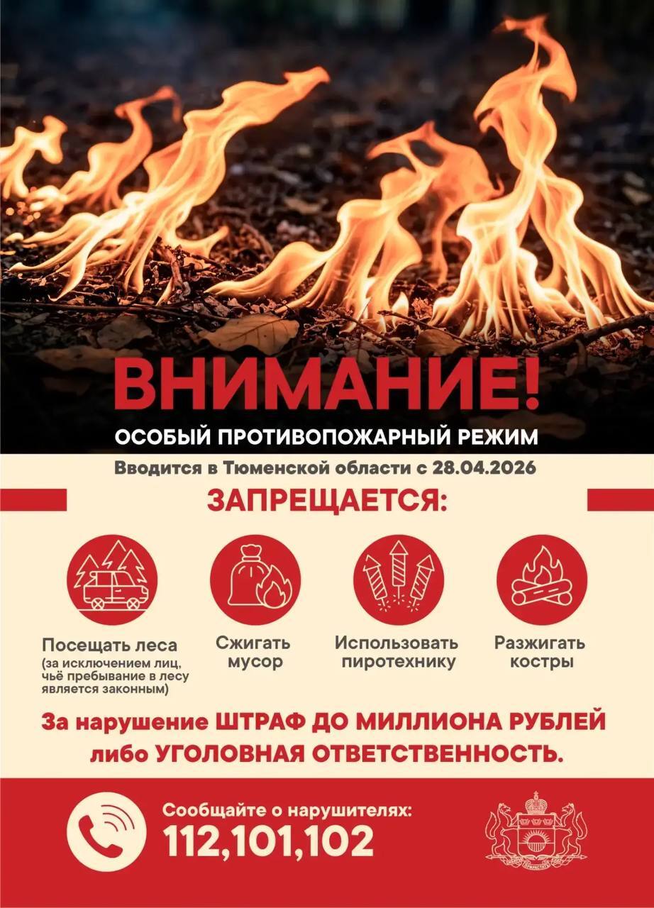 Жителям Тюменской области запретили ходить в лес из-за опасности пожаров 1 Жителям Тюменской области запретили ходить в лес из-за опасности пожаров 1